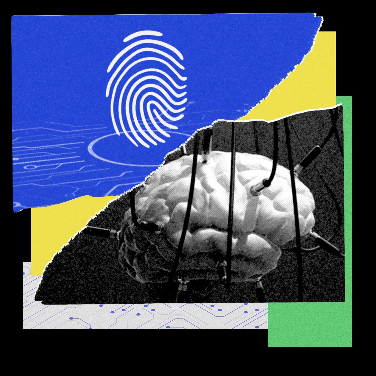 OpenClaw Agents Vulnerable to Manipulation and Self-Sabotage in Northeastern Study