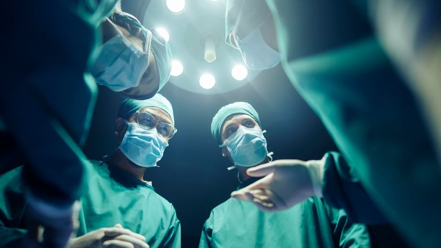Pirche KI-System: Berliner Start-up berechnet Transplantations-Erfolgschancen