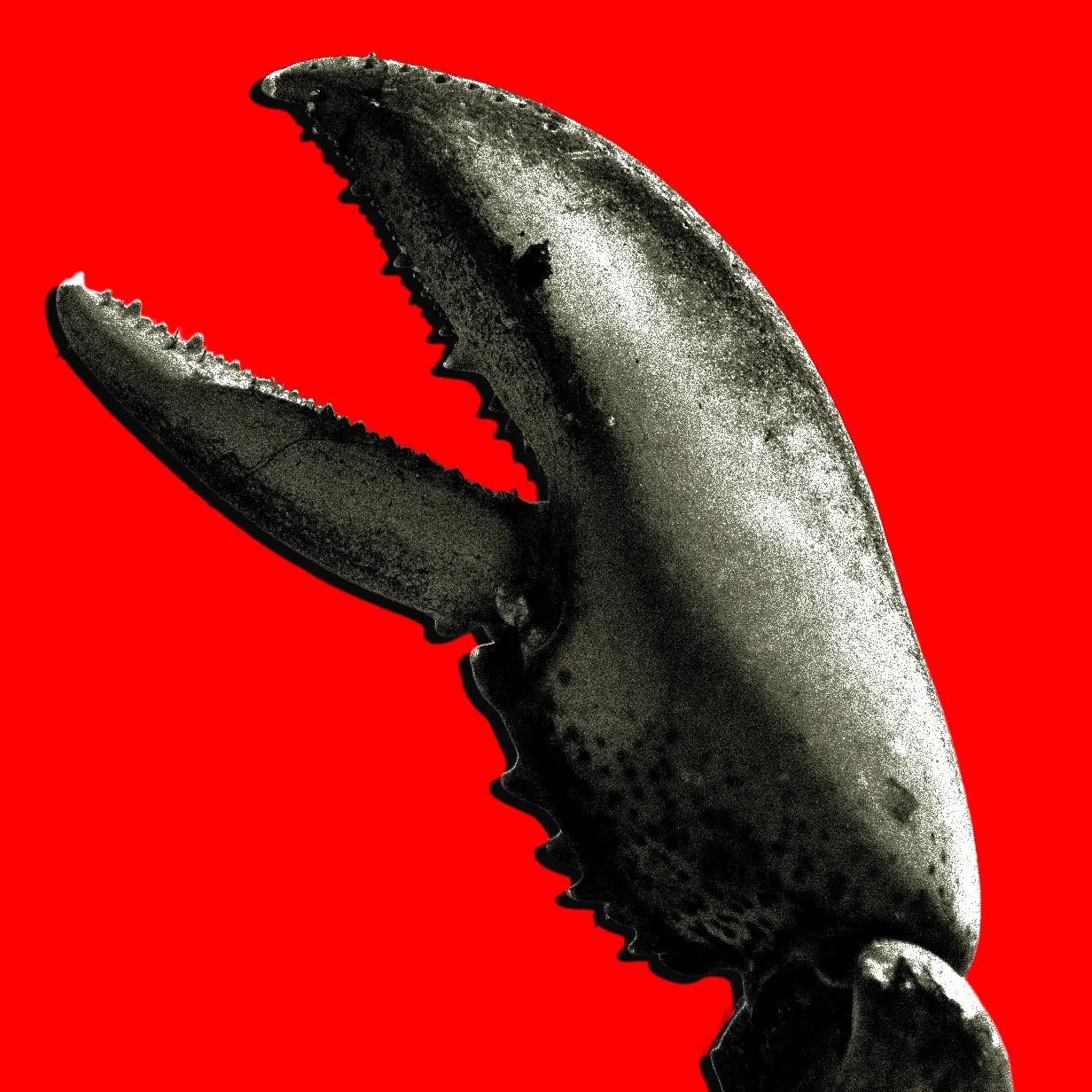 OpenClaw AI Agent Drives Chinese Cloud Server Rentals and AI Subscription Surge