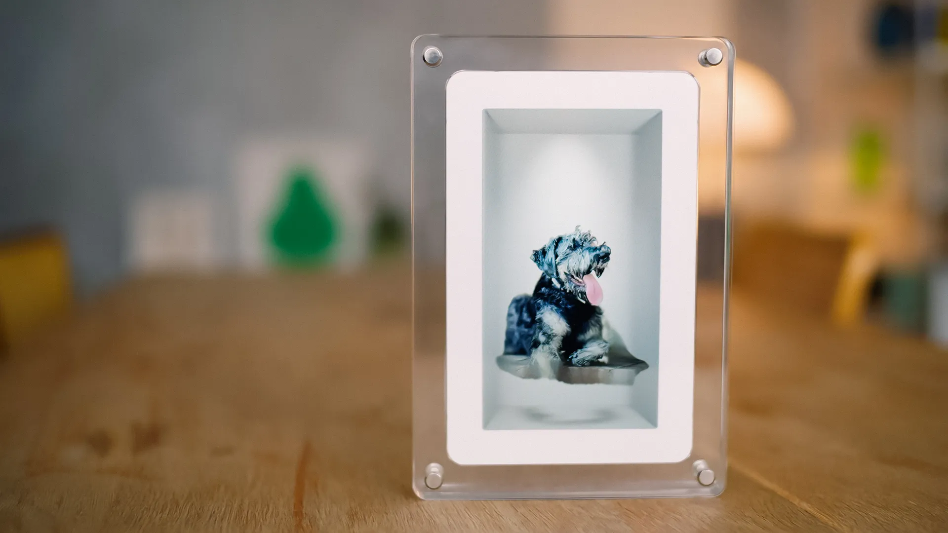 Looking Glass Musubi AI Holographic Picture Frame Targets Consumer Market